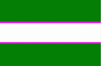 [National Socialist Council of Nagaland (NSCN) Flag]
